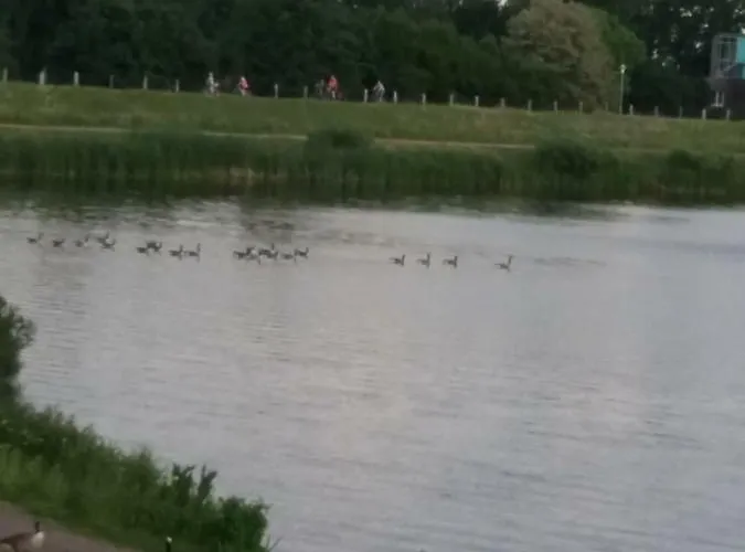 Am Barenberg Hébergement de vacances